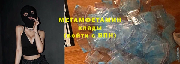 трава Коряжма