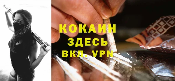 трава Коряжма