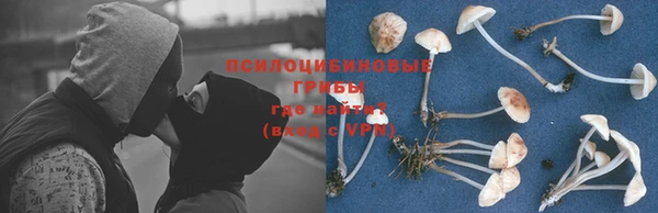 MDMA Premium VHQ Козловка