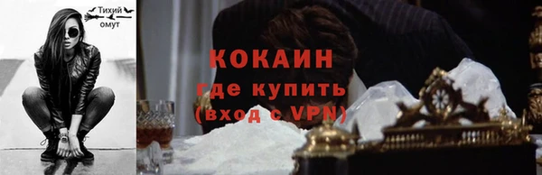 прущие грибы Анжеро-Судженск