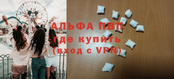 сатива Козельск