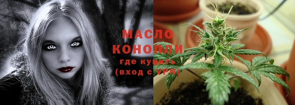 трава Коряжма