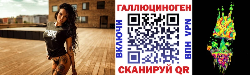 Псилоцибиновые грибы Psilocybe  Михайлов 